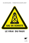 Gaz de schiste