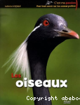 Les oiseaux