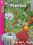 Plantes