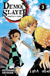 Demon Slayer Tome 3
