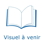 Les terres de glace