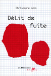 Dlit de fuite