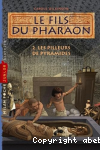 Les pilleurs de pyramides